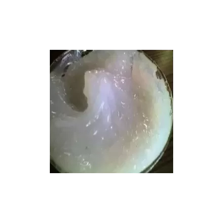 Extrema softair grasso siliconico per gruppo aria e guarnizioni