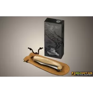 Viper Gobbo Abruzzese 2