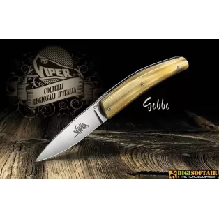 Viper Gobbo Abruzzese