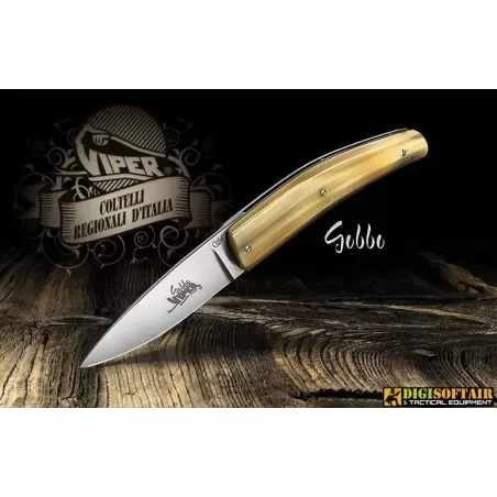 Viper Gobbo Abruzzese