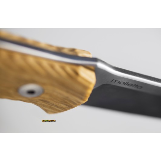 LionSteel M5 UL — Coltello fisso Legno di Ulivo