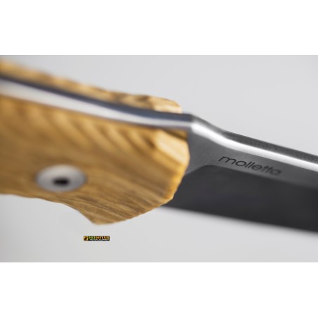 LionSteel M5 UL — Coltello fisso Legno di Ulivo