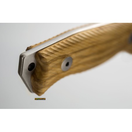 LionSteel M5 UL — Coltello fisso Legno di Ulivo