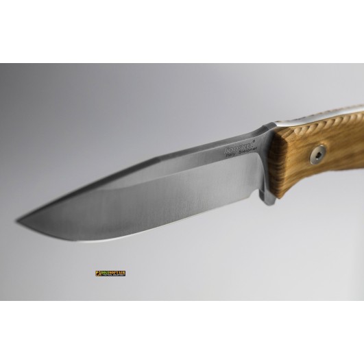 LionSteel M5 UL — Coltello fisso Legno di Ulivo