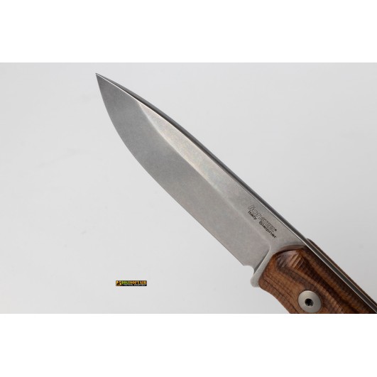LionSteel B41 Santos Wood — Fixed-Blade Bushcraft Knife (code B41 ST)