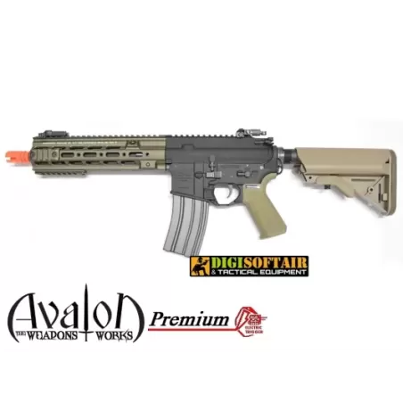 AVALON Premium CAG GEISSELE Vega Force company AVALON Premium CAG GEISSELE Vega Force company