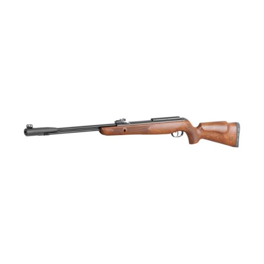 Buy Gamo Big Cat CF-S Air rifle 4,5mm IAG343
