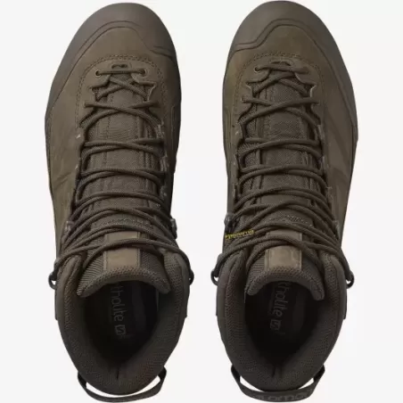 Salomon X ALP GTX FORCES