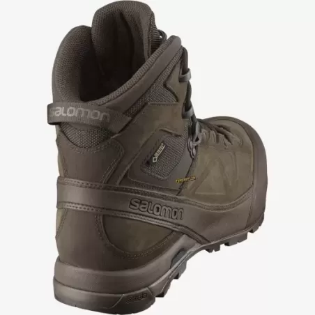 Salomon X ALP GTX FORCES