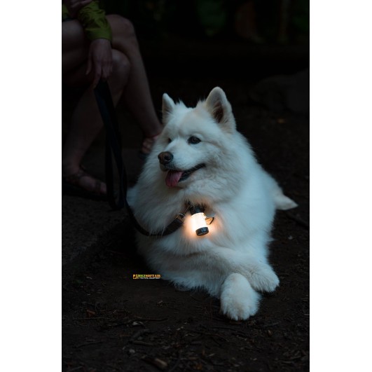 Ledlenser ML4 Warm Light Lantern 300 lm (502231)