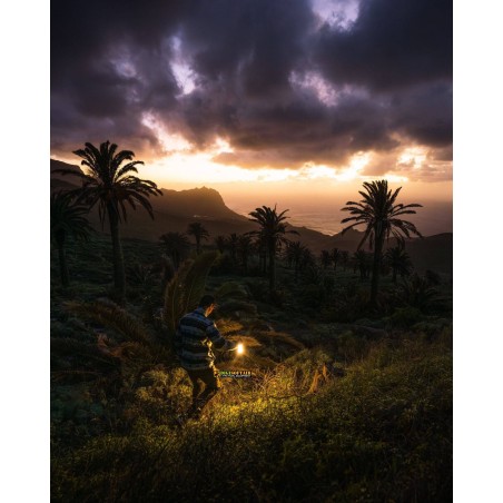 Ledlenser ML6 Warm Light Lantern 750 lm (502084)
