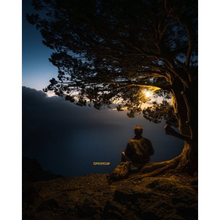 Ledlenser ML6 Warm Light Lantern 750 lm (502084)