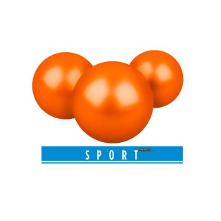 Umarex T4E Sport PAB 50 Caliber .50 Paintballs 500 pcs 2
