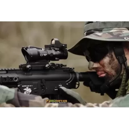 RedFiber 4×32C scope + Micro dot black Theta optics