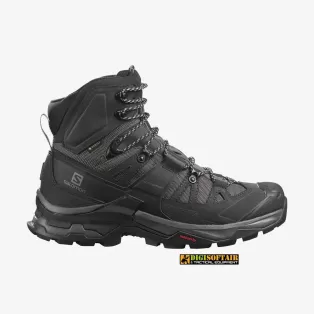 QUEST 4 Goretex Magnet Black SALOMON L41292600