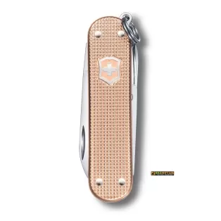 Victorinox Classic SD Alox Fresh Peach 2