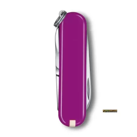 Victorinox Classic SD Tasty Grape