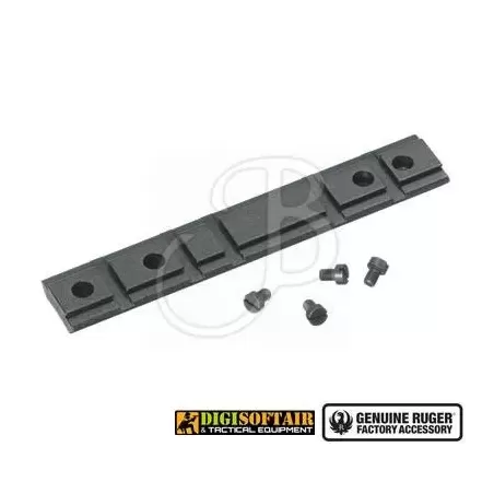 Slitta per Ruger 10/11