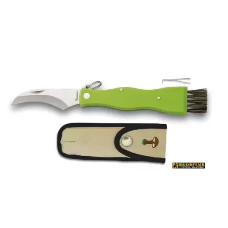 Coltello per funghi verde con spazzolina Albainox 18391