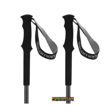 copy of RAM Walking pole 3 sections 65-135 cm