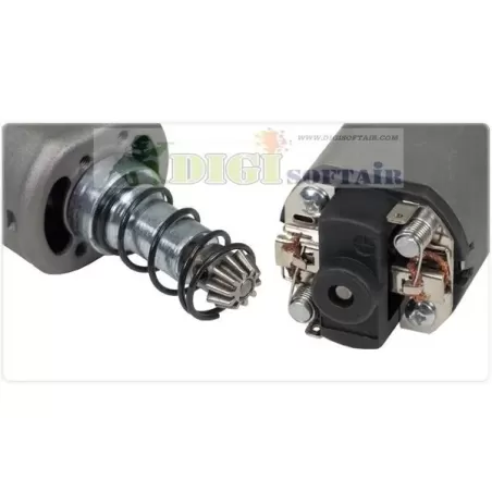 SHS motore albero lungo Standard