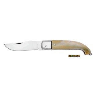 Coltello Scarperia Corno Lucido 22 cm — Testina Inox