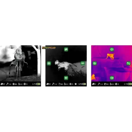 Puntatore termico InfiRay Holo 13