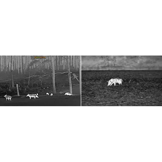 Thermal rifle scope InfiRay Holo 25