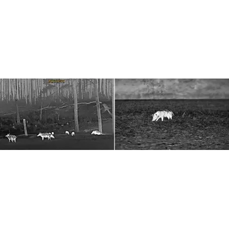 Thermal rifle scope InfiRay Holo 25