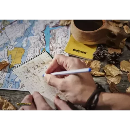 COTON LOGO SS TEE M red salomon