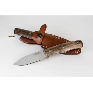 Online sale Lionsteel B35 WN, with walnut handle