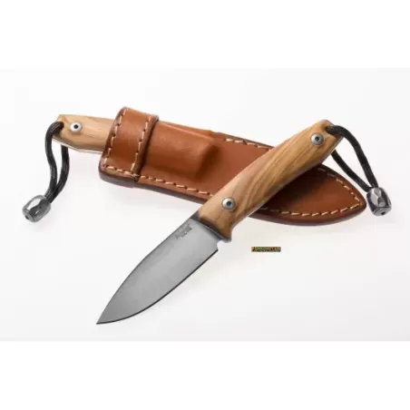 LionSteel M1 Olive Wood — Fixed-Blade Knife M390 (code M1 UL)