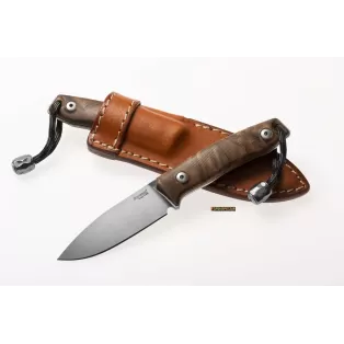 LionSteel M1 Walnut Wood — Fixed-Blade Knife M390 (code M1 WN)