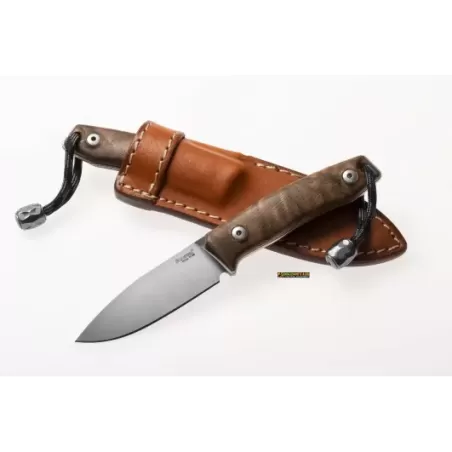 LionSteel M1 Legno Noce — Coltello Lama Fissa M390 (cod. M1 WN)
