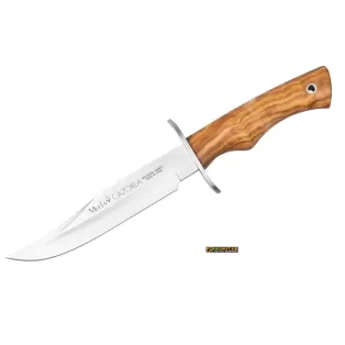 Muela Cazorla Olive 16.OL