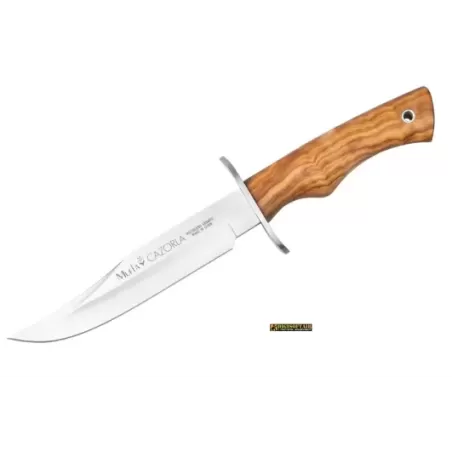 Muela Cazorla Wood 16R