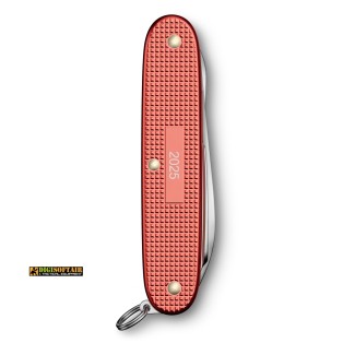 Buy Victorinox Pioneer X Alox Limited Edition 2025 2