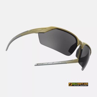TrinRay Glasses Basic Set Adaptive Green / Smoked