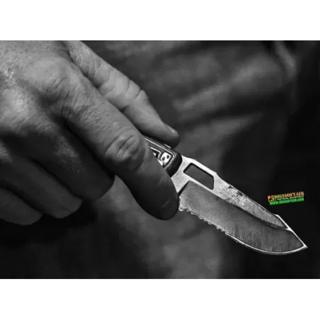 Order Folding Knife GERBER