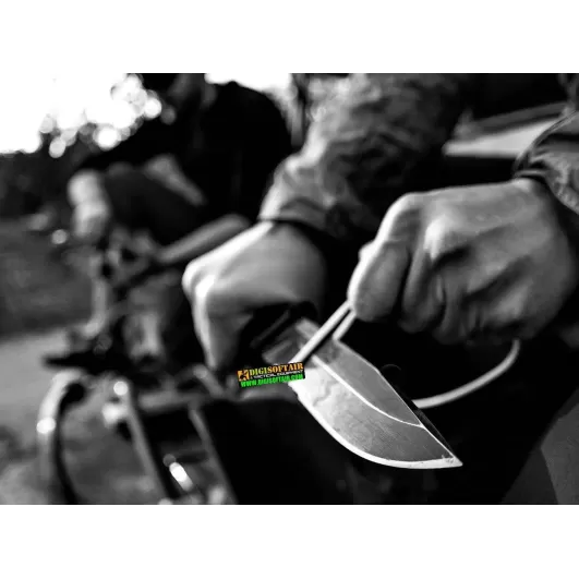 StrongArm Fixed Blade Coyote Brown SE GERBER coltello lama fissa