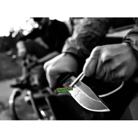 StrongArm Fixed Blade Coyote Brown SE GERBER coltello lama fissa