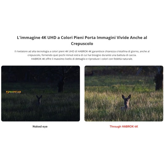 Hicmicro Habrok 4K, Binocolo Multispettro HE25L