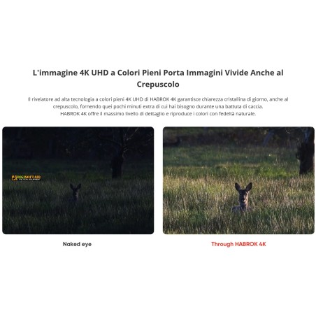 Hicmicro Habrok 4K, Binocolo Multispettro HE25L
