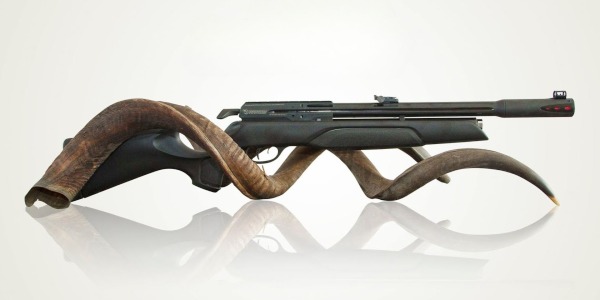 Carabina aria compressa in libera vendita